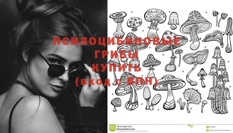 закладки  Грязовец  кракен   Псилоцибиновые грибы Magic Shrooms 